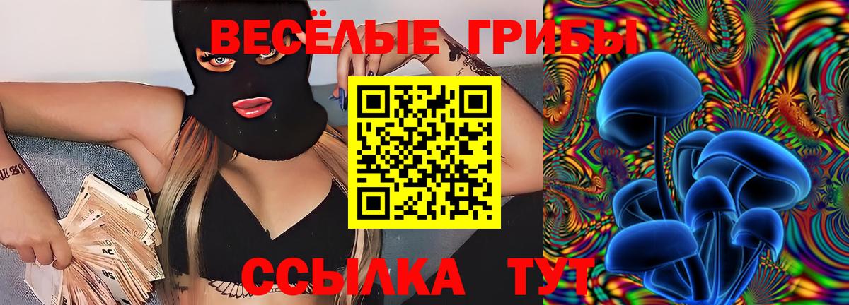 Псилоцибиновые грибы ЛСД  Вход с VPN  Галлюциногенные грибы прущие грибы  Ачинск 