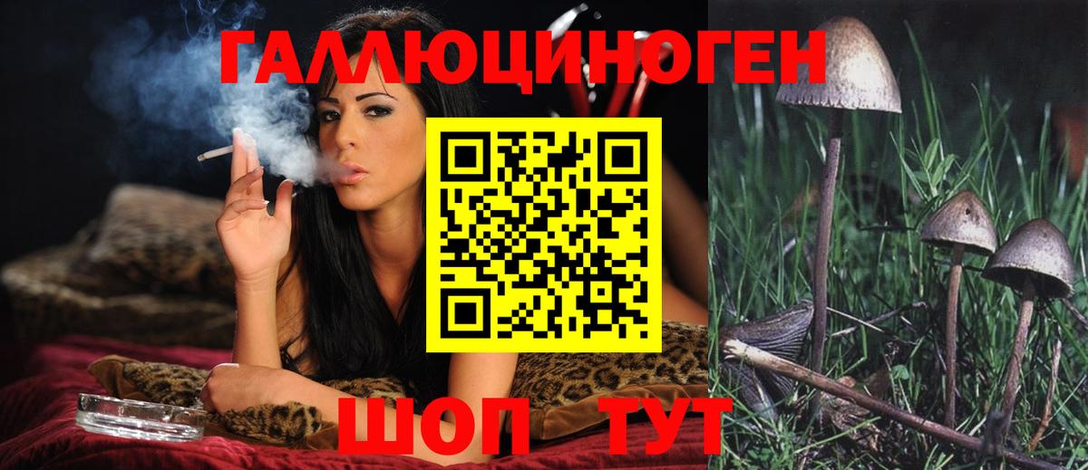 Псилоцибиновые грибы ЛСД Ачинск